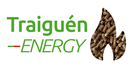 Traiguen Energy - Inicio